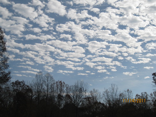 11/14/11: Pretty clouds.