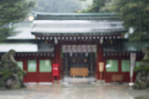 Focus on the rain by keganimushi