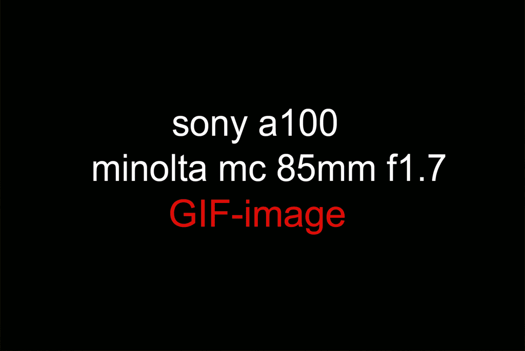 GIF-image (size 1024 X 685)