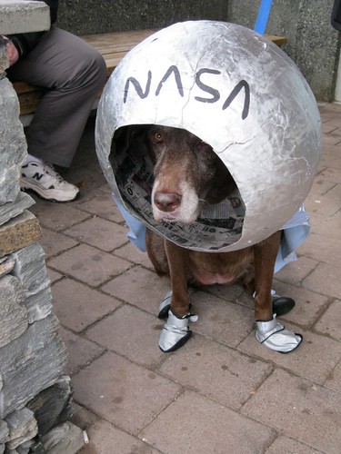Huuna the space dog