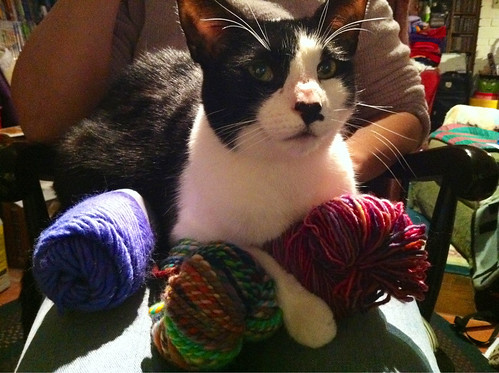 Jer has all the yarn