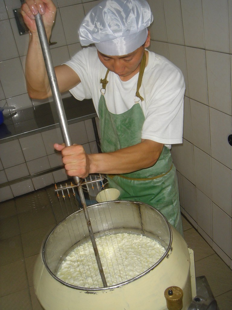 Fabrication de fromage: phase de decaillage, Centre Sum de Onder-Ulaan, Arkhangaï, Mongolie