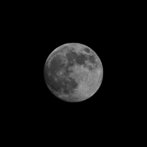 Day 313 - Almost a Full Moon