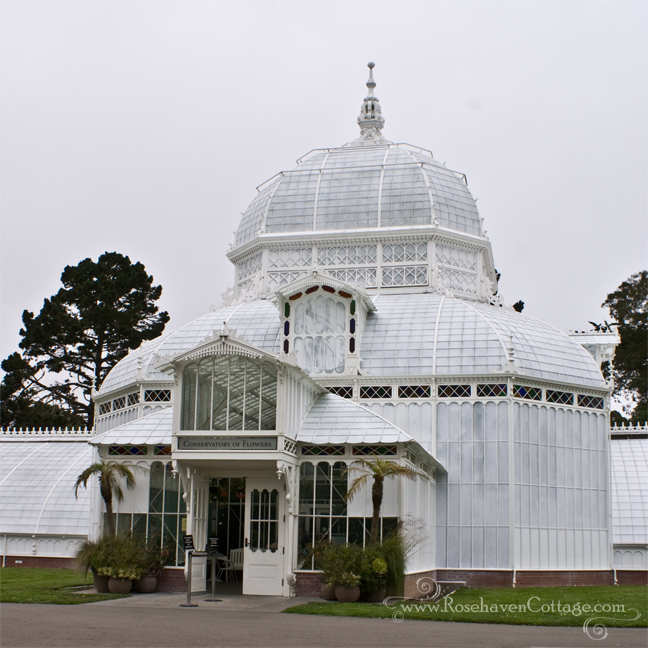 Conservatory of Flowers San Francisco 2011