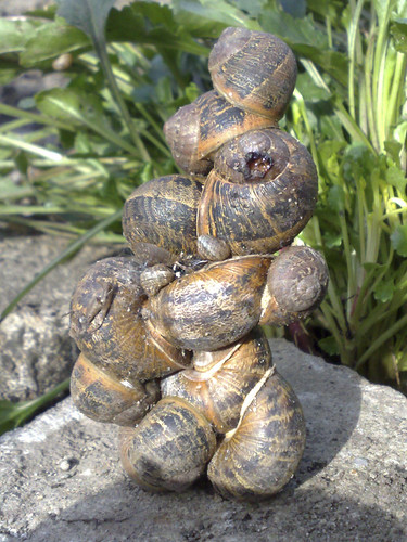 2010_04_09_Tower-of-snails