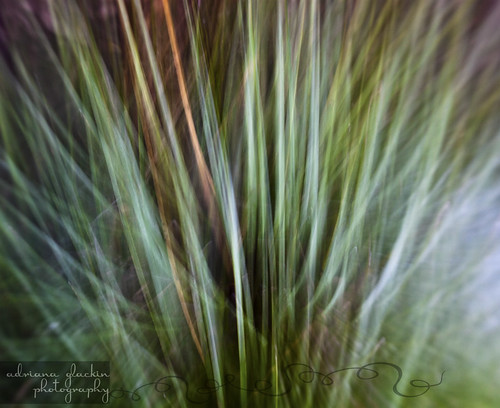 spring abstract_7