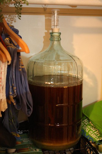 Carboy with Wort in Closet