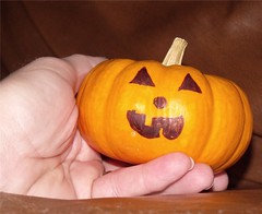 wee little pumpkin by Teckelcar