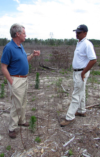 Bill Owen (left) confers with Smithfield District Conservationist Mike Faulk on the site of his Surry County plantings. Bill Owen (left) confers with Smithfield District Conservationist Mike Faulk on the site of his Surry County plantings. 