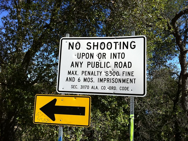 Gun shots on "No Shooting" sign