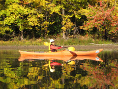 Thanksgiving on the river, paddling companion