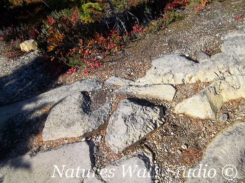 10.27 hearts in rocky path Heather Meadows 10.18 (121) nws