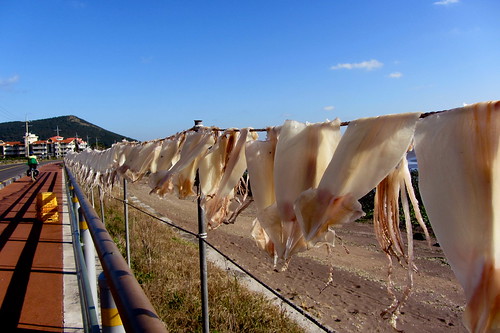 Squid hanging out to dry