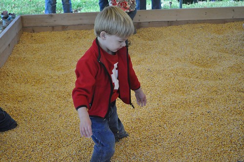 corn box- getting started