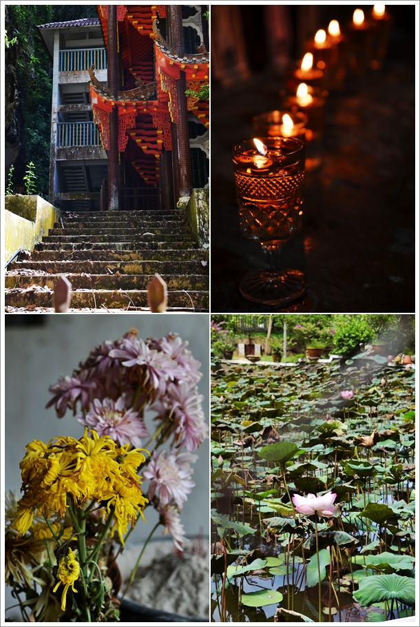 Candlelights, Wilted Flowers, Lotus Pond