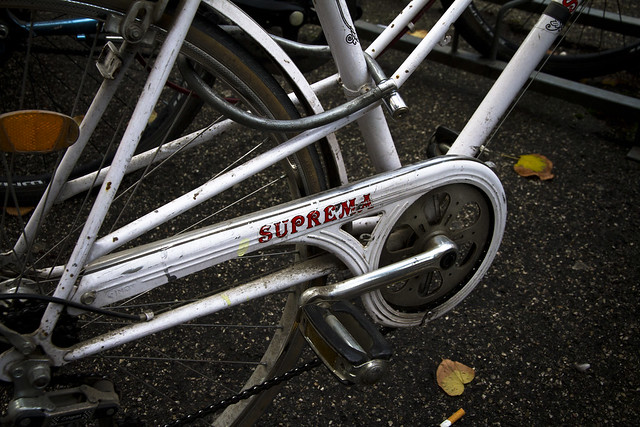 The Bicycles of Ferrara (20)