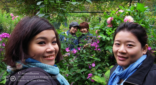 Bonjour Giverny～ 吉維尼 Jardins de Monet 莫內花園R1041422