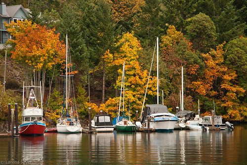 Autumn in Fulford Harbour