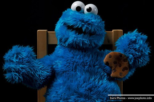 Cookie Monster by Joachim Ziebs