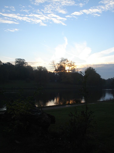 Hampstead Heath, early morning