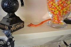 snakey snake