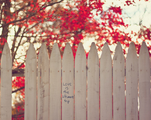 {Words of Wisdom} Fence Friday by Jaime973