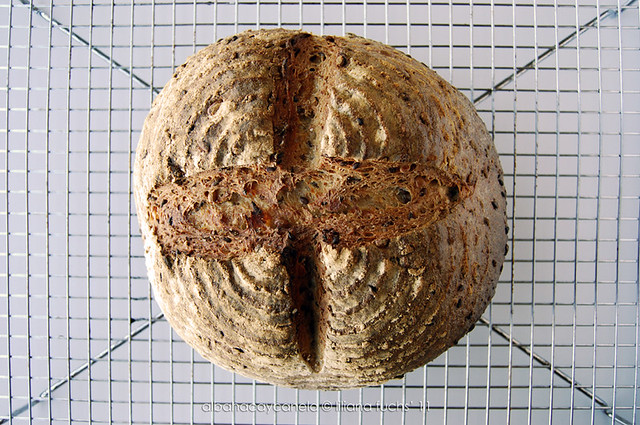 Sourdough Grain Bread