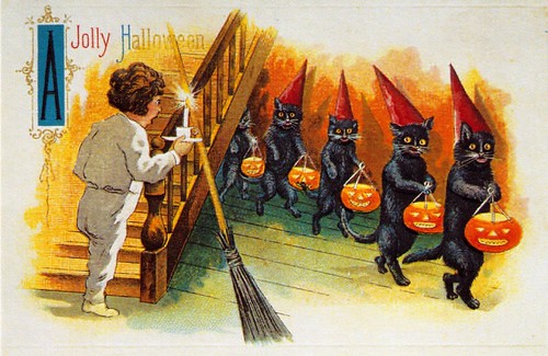 Jolly Halloween Black Cat Line-up