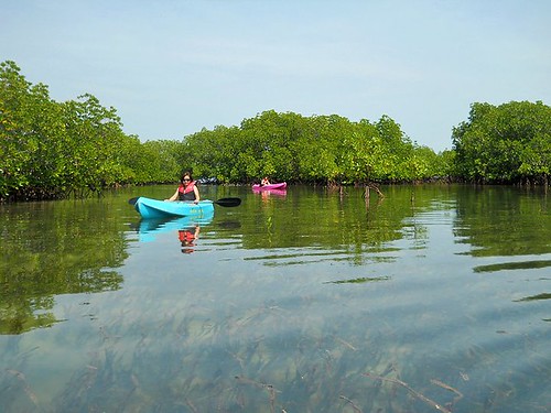 kayaking by elise aguilar
