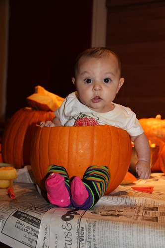 Jovie in a pumpkin!