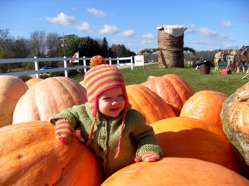 squished by pumpkins!
