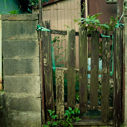 Gate and Weeds, Mimomi, Chiba, Japan