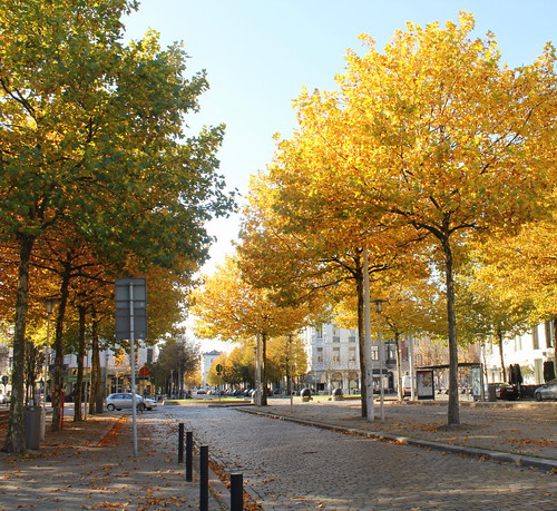 Autumn in Antwerp