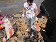 滙豐銀行企業志工在高美濕地進行廢棄物撿拾，並且根據國際淨灘組織（ ICC，International Coastal Cleanup）的表格仔細登錄垃圾。