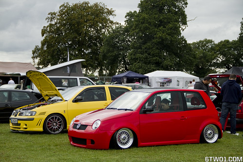 Cute little lupo sat on shiny as hell BBS Rs's