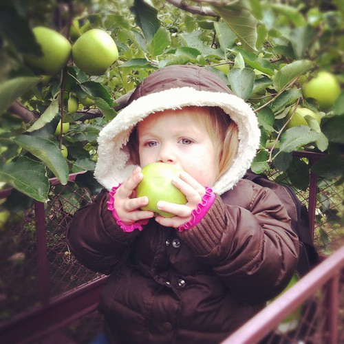 Teagan enjoying an apple while apple picking at Blackman Homestead Farm