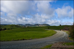 Landscape near Maungaturoto
