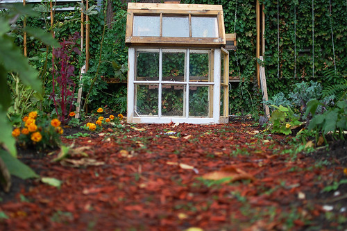 White Ryerson mini greenhouse - #291/365 by PJMixer