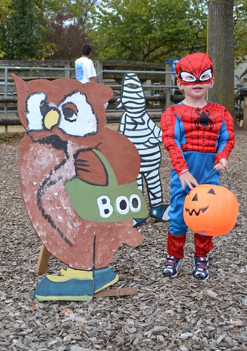 Dylan and owl