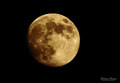 Moon over Texas 1108 11-08-11