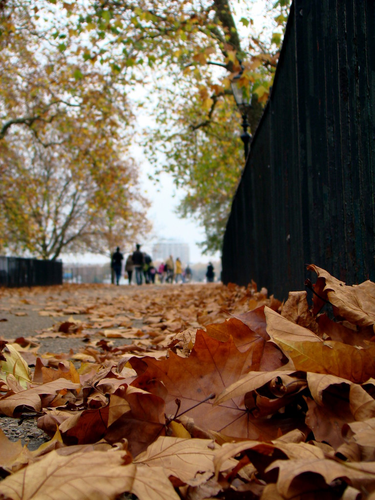 Autumn In Hyde Park