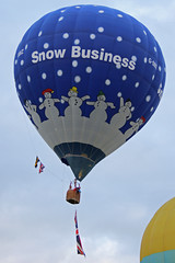G-SBIZ "Snow Business"