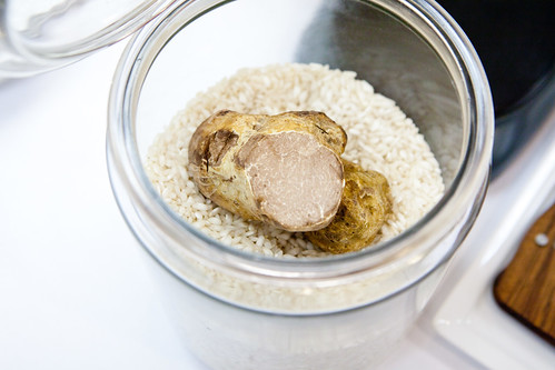 Inside the jar containing a humongous Alba white truffle