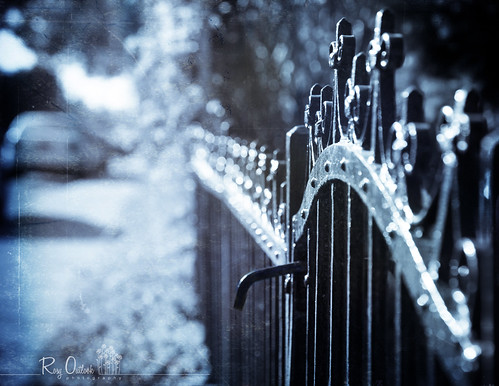 TGI ~~fence friday~~ Spooky edition ;D by rosy outlook