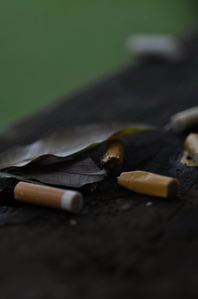 Leaf and cigarette ...