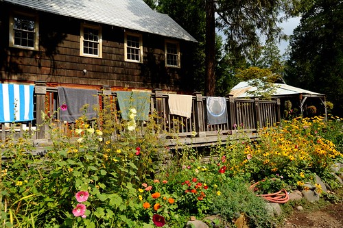 Towels drying out at the lodge deck fence, late summer flowers blooming, red water hose, Breitenbush Hot Springs, Breitenbush, Marion County, Oregon, USA by Wonderlane