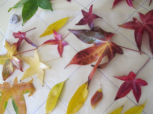 wax dipped leaves