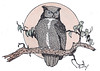 The owl by Herbert N. Rudeen
