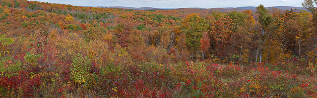 Fall Colors in the Saint Francis Mountains of the Ozarks, near Arcadia, Missouri, USA