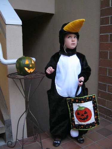 my little penguin
